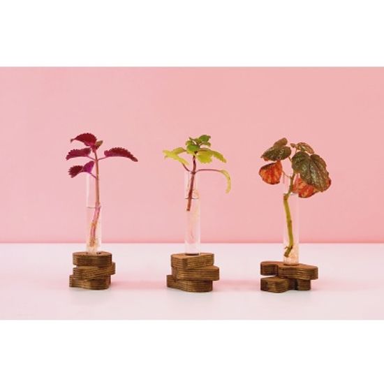 스택베이스 우드 오브제 수경 화병