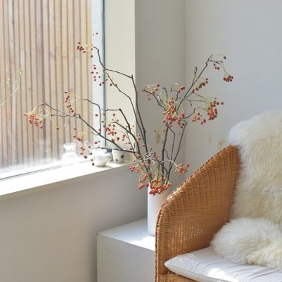 나도밤나무 인테리어 식물 생화 소품 그리너리