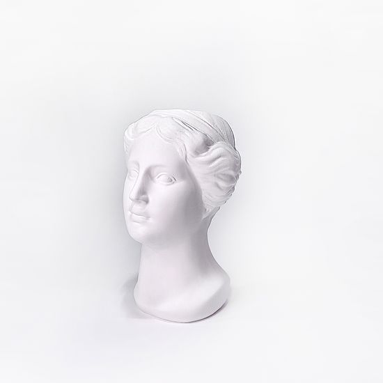 비너스 두상 오브제 인테리어 석고상 화병 화분