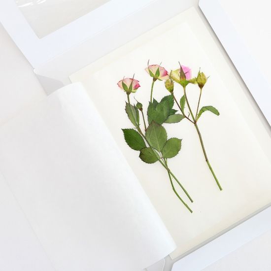 [압화말리기용품] 압화꽃보관봉투(중)