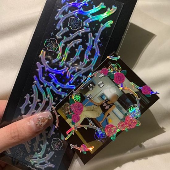 가시덤불/홀로그램박