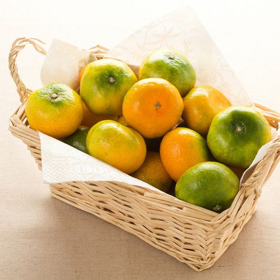 [고랑몰라] 노지 새코미 감귤 5kg (특대과)2L