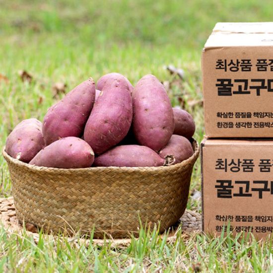 [대한민국농수산] 비세척 해남 꿀 고구마-[비세척] 꿀고구마 (특상) 3kg