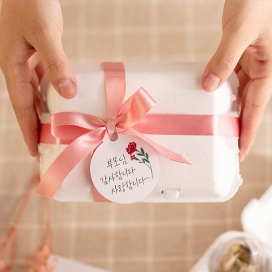 DIY 계란 모형 용돈 박스 (6구)