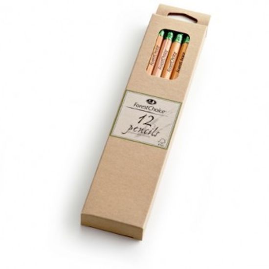 Forestchoice 포레스트 초이스 연필(12자루 세트)