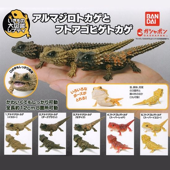 생물대도감 레쁘띠 아르마딜로 도마뱀  캡슐토이 가챠