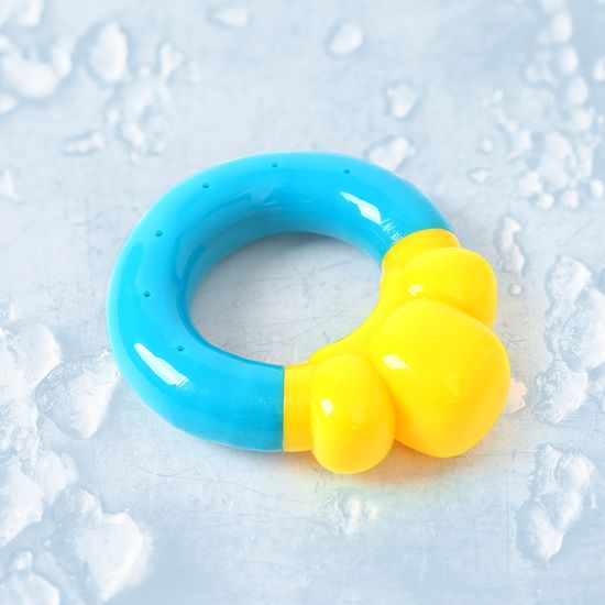 [펫피디아] 여름 물놀이 아이스 장난감(튜브)