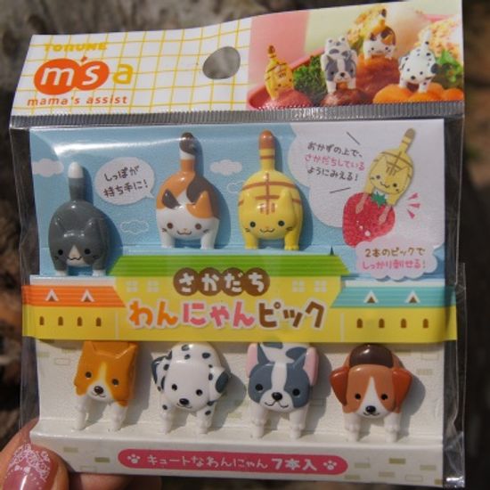 토루네 물구나무 강아지픽