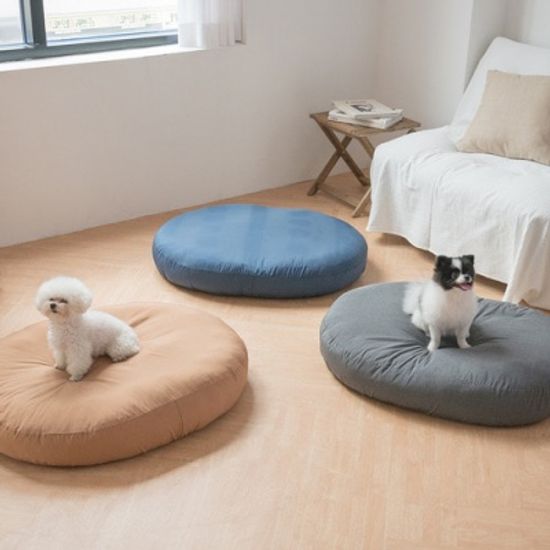 제리파파 말랑 패티 방석