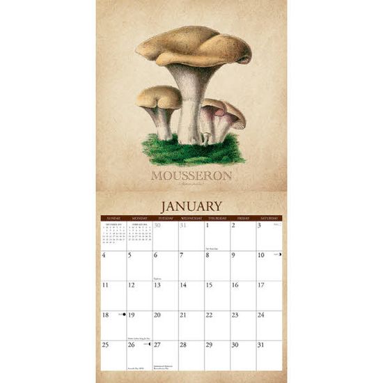 2026벽걸이캘린더 Art of the Mushroom