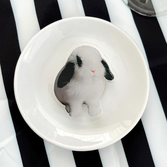 house rabbit 디자인 [아크릴스마트톡]