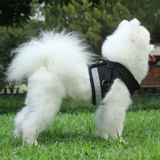 세이프 빛반사 강아지 하네스+리드줄(M) 강아지가슴줄