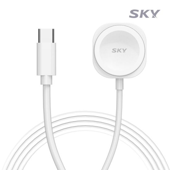 스카이 필 60W PD 2in1 C타입 애플워치 충전기 W24C