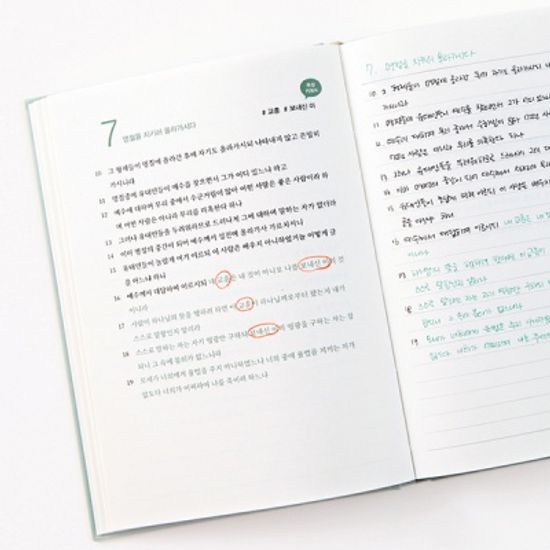 그레이스벨 나날 성경필사 요한복음