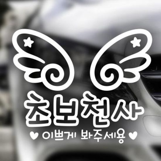 자동차스티커 초보운전스티커 096 반사