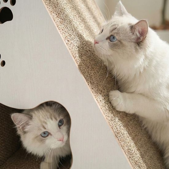 레토 수직 고양이 스크래처 숨숨집 하우스 LCH-V05