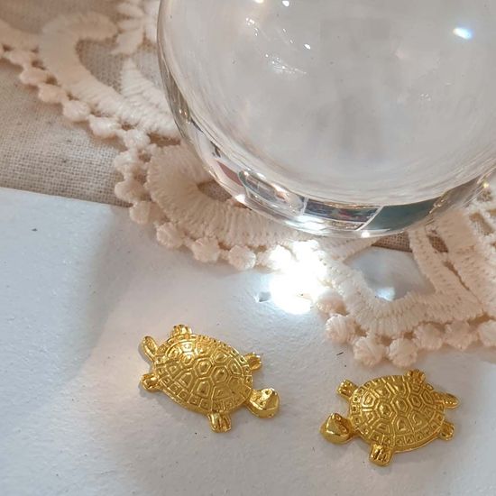 행운의 부적 돈 거북(WAC20D2)