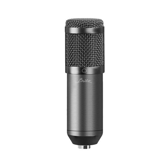 브리츠 BZ-STM530 스탠드 콘덴서 마이크 USB 마이크