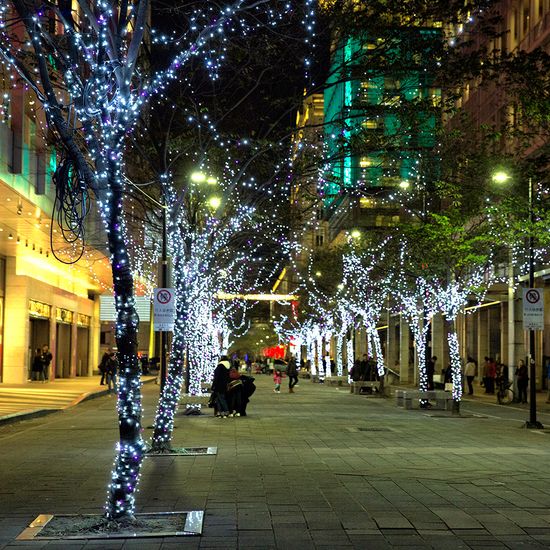 [도토로] 1000구 녹색선 LED 백색 지니전구(100M) 점