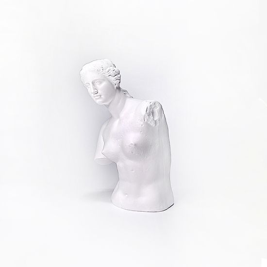비너스 반신 오브제 인테리어 석고상 화병 화분
