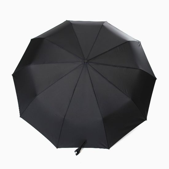 파라체이스 3244 빅사이즈 10패널 자동 3단 우산