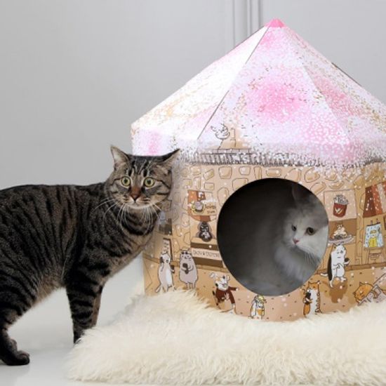 [뽀떼] 게르하우스 - 벚꽃