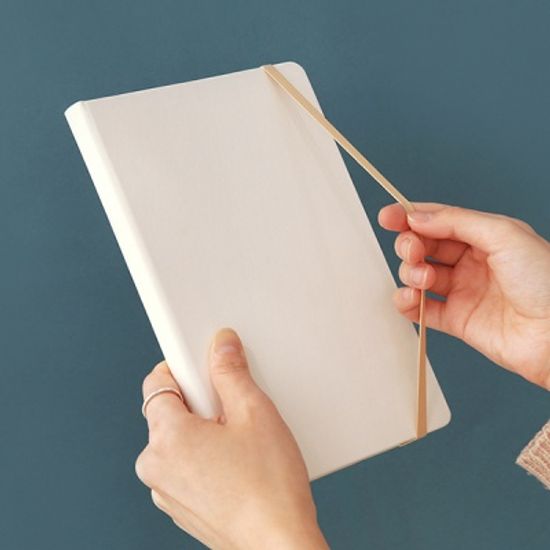 프리즘 200 밴드노트 (라인)