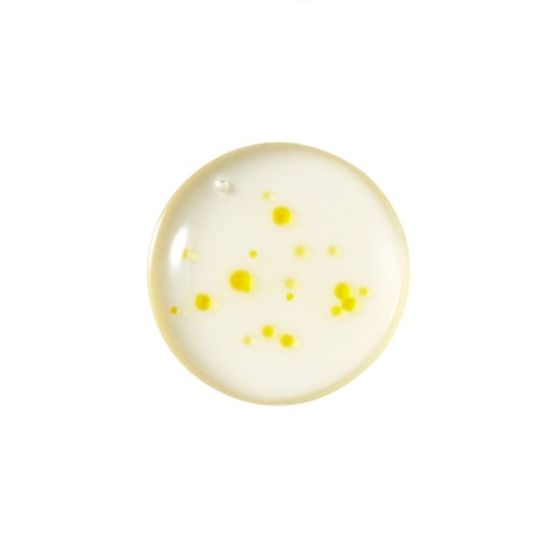 [1+1] 핑크빛 광채톤업 선크림+로얄캡슐 미백앰플