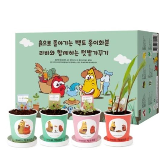 학습용 관찰용 식물키우기 텃밭키우기 6종세트