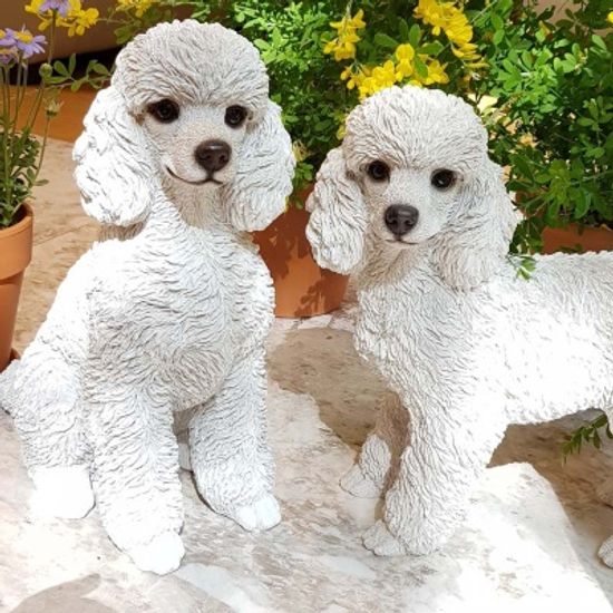 성견 화이트 푸들 장식인형 2종 택1