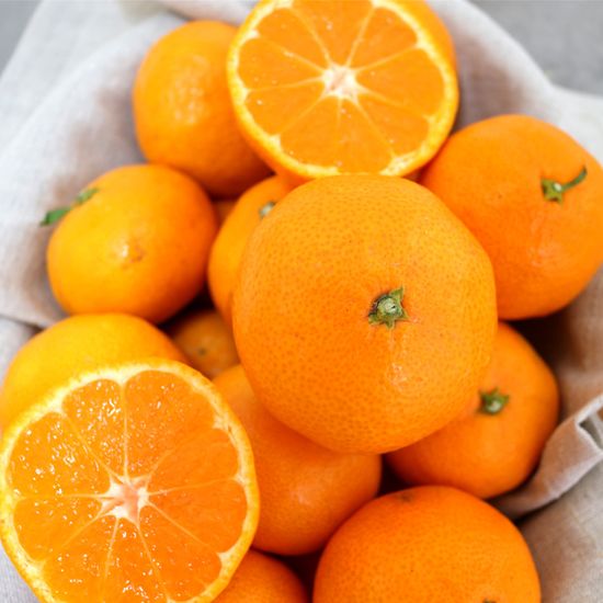 제주 서귀포 노지 조생 감귤 S~L 2.5kg