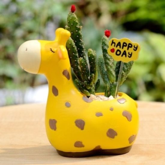 ROOGO 루고 다육이 화분 작은자연 기린