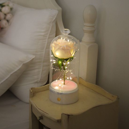 로즈 블랑돔 LED 무드등-Rose Blanc Dome led lights