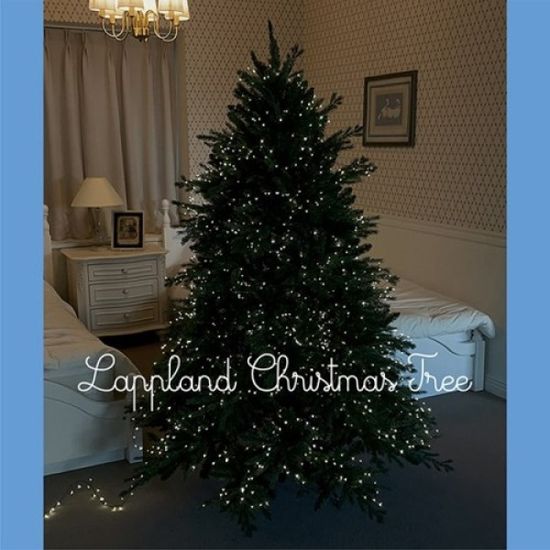 [프리미엄] Lappland Tree 라플란드트리