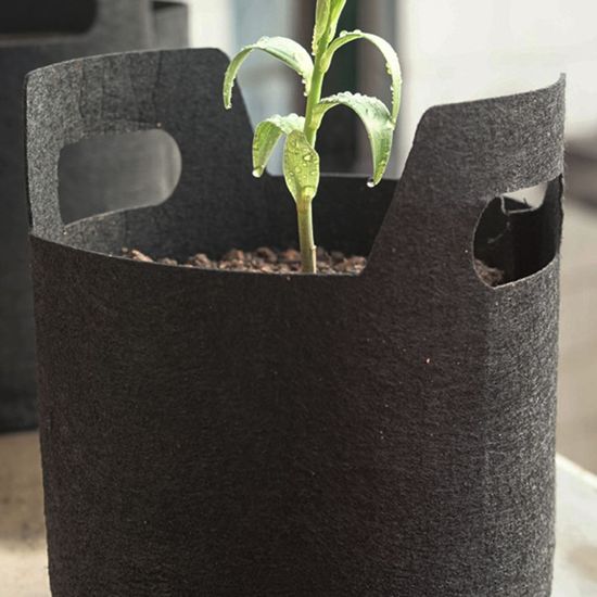 25x22cm 모종 부직포 5p 화분 분갈이(WE5CAAC)