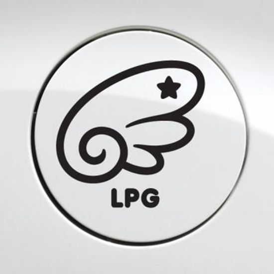 주유구 천사날개 LPG / 주유구스티커 자동차스티커