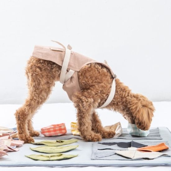 케이블랑 노즈워크 담요 SET(담요+옵션5종)