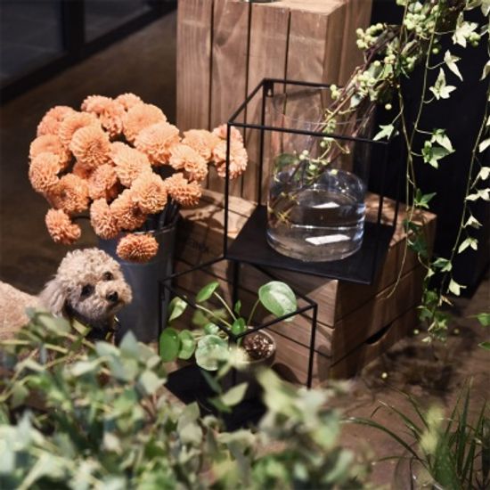 우드로하우스 블랙 메탈 선반 철제벽선반 3종/1택