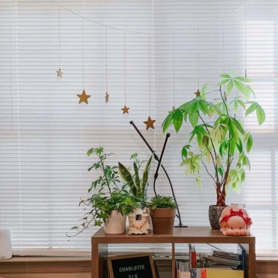 벽 사진걸이 폴라로이드 사진집게 별 우드 포토행거