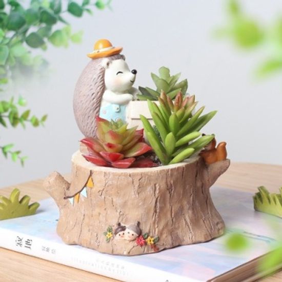 ROOGO 다육이 화분 고슴도치의 겨울이야기 이사를해요