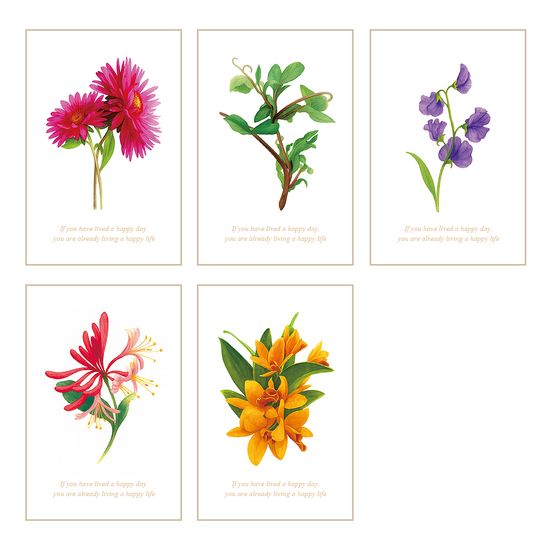 풀꽃일기 감사카드