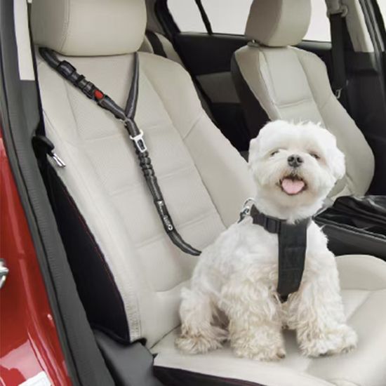 PH 하네스 애완동물 차량 시트 벨트 리드 AQ24421