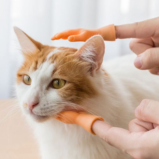 고양이 손 모형 쓸데없는 쓸모없는 킹받는 웃긴 선물