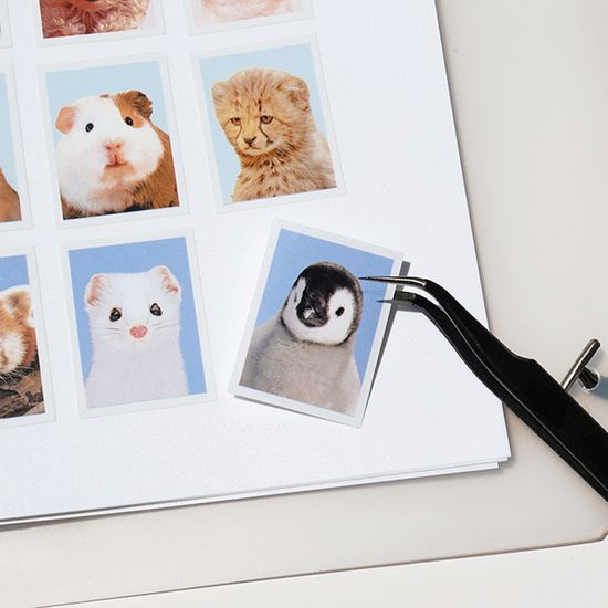 비온뒤 A5 데코포켓 파일리필용 - 이형지