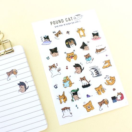파운드 캣 일상 스티커