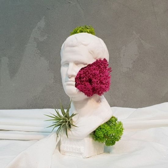 모스 하트 틸란드시아 컨셉 석고상 화분+모스+리본