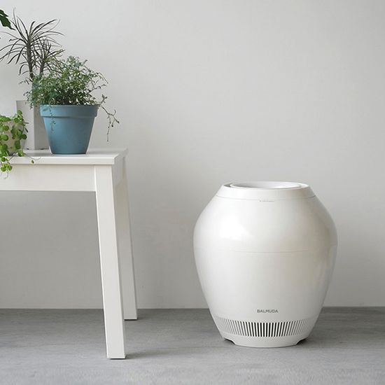 [공식수입원] 발뮤다 가습기 