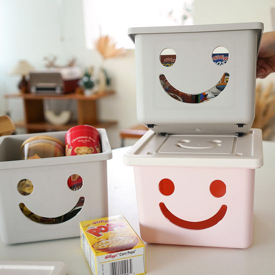 보노하우스 모던 미니 해피박스 1P 수납 정리함