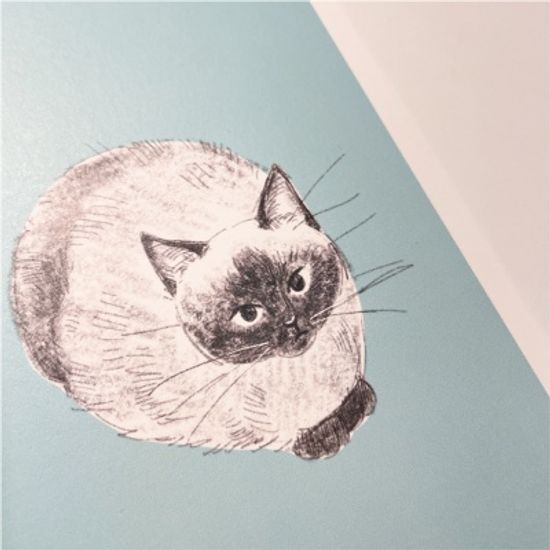 고양이 엽서 민트