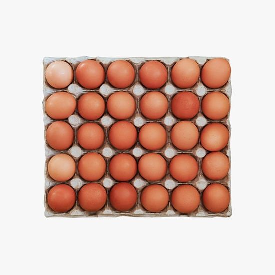 [1+1] [HACCP인증] 촉촉하고 부드러운 반숙란 30구